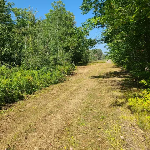 Nnn Knotty Pine, Park Twp, MN 55712