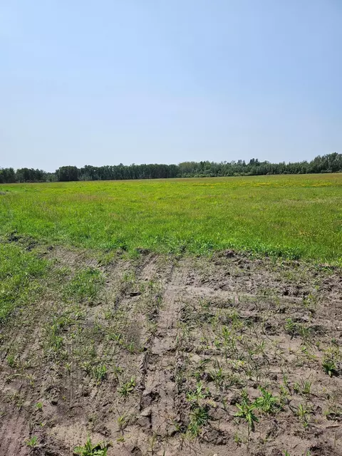 tbd 130th St, Halma, MN 56732