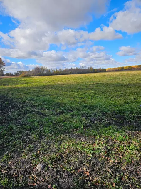 tbd 130th St, Halma, MN 56732 photo 3