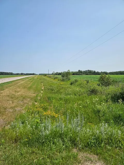 tbd 130th St, Halma, MN 56732 photo 2