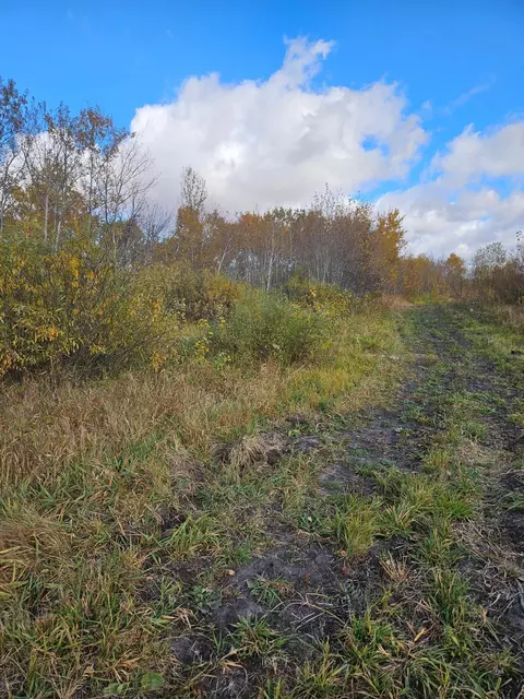 tbd 130th St, Halma, MN 56732 photo 6