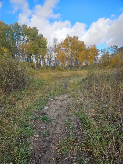 tbd 130th St, Halma, MN 56732 photo 4