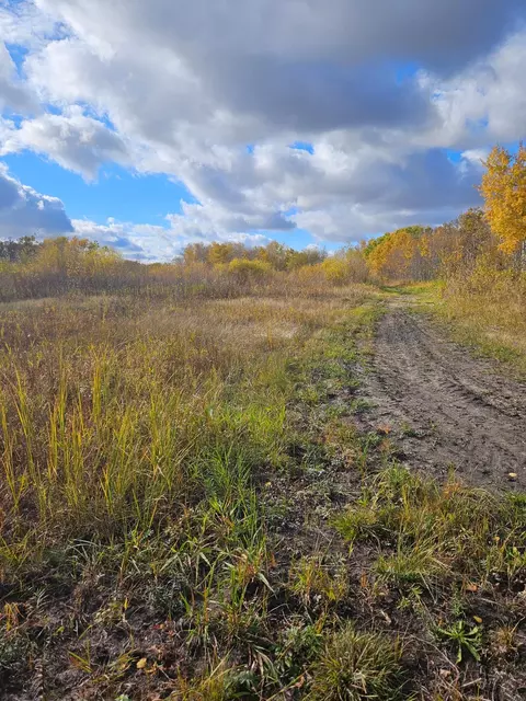 tbd 130th St, Halma, MN 56732 photo 7
