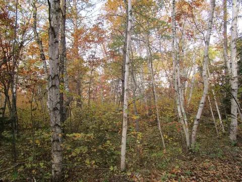 tbd Esther Ln NE, Bemidji, MN 56601
