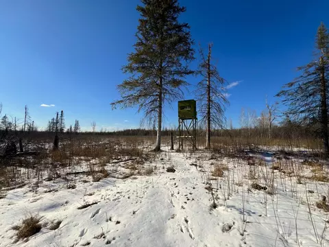 9255 Murphy Rd, Cotton, MN 55724 photo 52