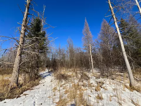 9255 Murphy Rd, Cotton, MN 55724 photo 54