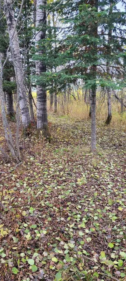 9255 Murphy Rd, Cotton, MN 55724 photo 41