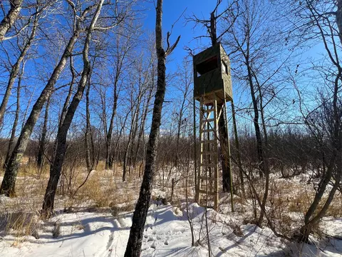 9255 Murphy Rd, Cotton, MN 55724 photo 59