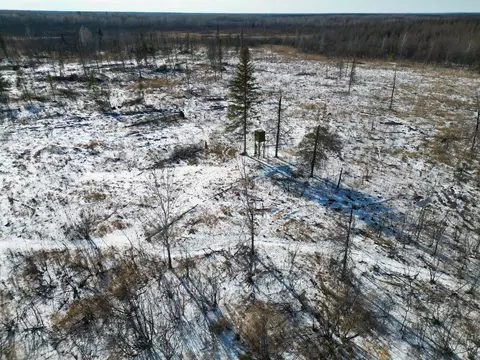 9255 Murphy Rd, Cotton, MN 55724 photo 73