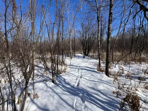 9255 Murphy Rd, Cotton, MN 55724 photo 56