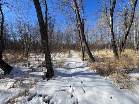 9255 Murphy Rd, Cotton, MN 55724 photo 57