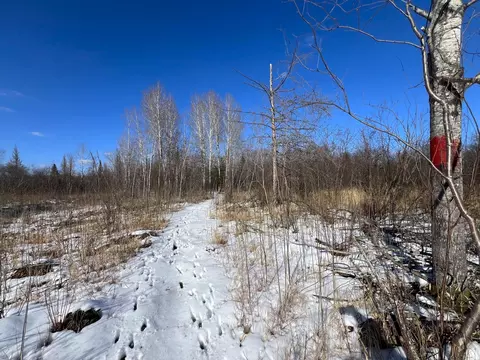 9255 Murphy Rd, Cotton, MN 55724 photo 49