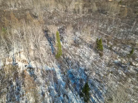 9255 Murphy Rd, Cotton, MN 55724 photo 70