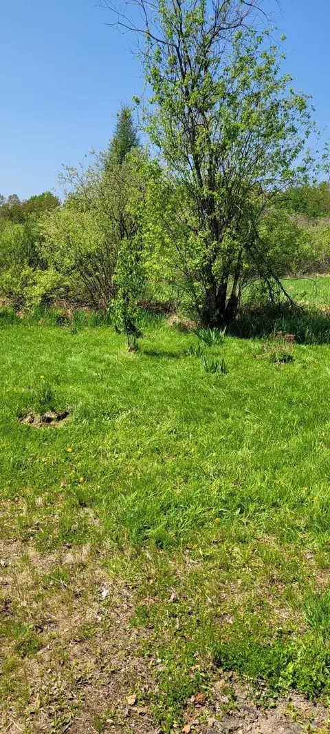 9255 Murphy Rd, Cotton, MN 55724 photo 88
