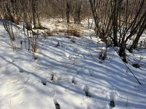 9255 Murphy Rd, Cotton, MN 55724 photo 47