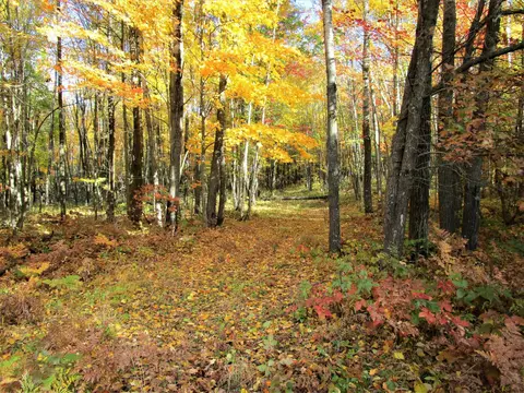 lot17 103rd St, Frederic, WI 54837
