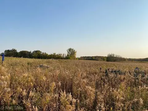 Nnn 290th Street, Browerville, MN 56438