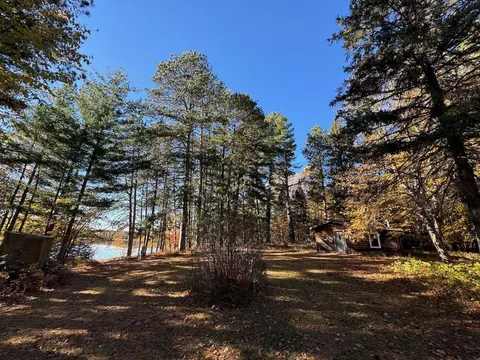 56398 Remington Way, Northome, MN 56661