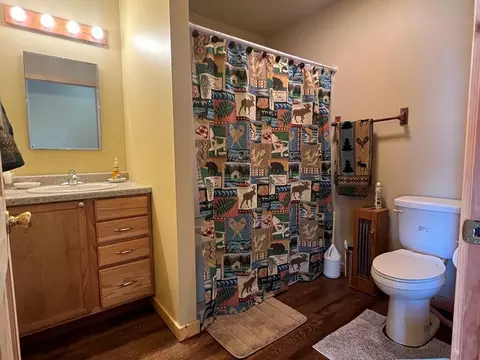47044 Bowstring Access, Deer River, MN 56636 photo 10