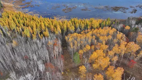 tbd New Paradise Point Dr #LOT 8, Lake George, MN 56458