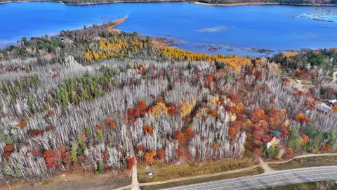 tbd County 4 #LOT 9, Lake George, MN 56458