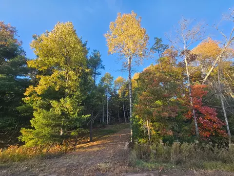 Nnn Bushey Road, Danbury, WI 54830
