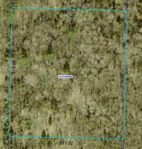 Nnn Oswald Lane, Dell Grove Twp, MN 55072