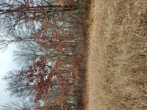 42646 Bulldozed Rd, Gail Lake Twp, MN 56474