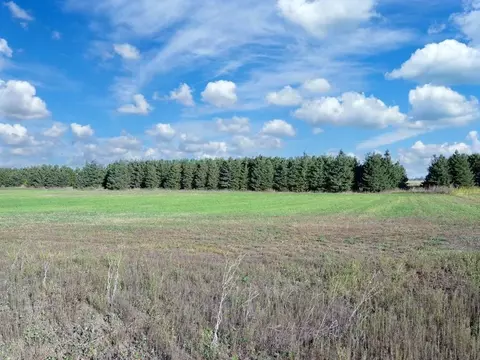 Nnn County 77, Wadena, MN 56482
