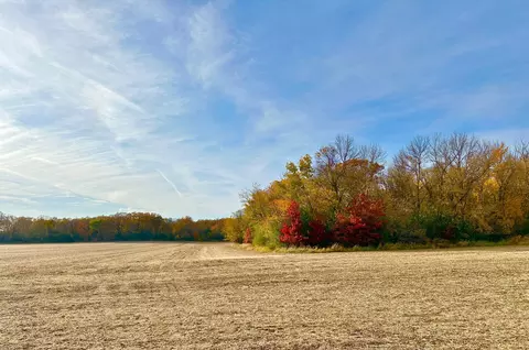 Tba 850th Avenue, Glenville, MN 56036