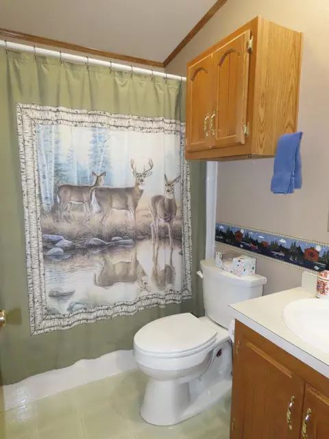 Other - 40751 10th Ave, Isle, MN 56342 photo 51 of 70