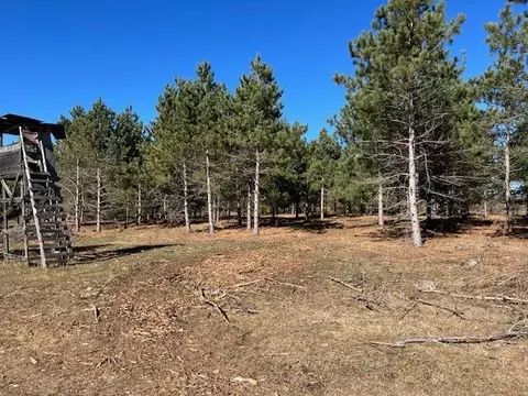 Nnnn 308th Street, Leaf Lake Twp, MN 56571