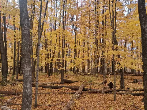 lot4 310th Ave, Frederic, WI 54837