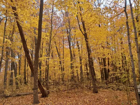 lot3 310th Ave, Frederic, WI 54837