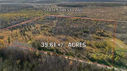 tbd County Road 131, Blackduck, MN 56630
