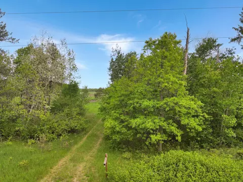 40 Nn Cedar Scenic Rd, Baxter, MN 56473 photo 6