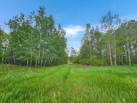 40 Nn Cedar Scenic Rd, Baxter, MN 56473 photo 8