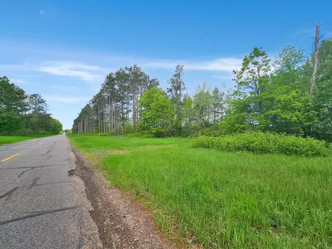 40 Nn Cedar Scenic Rd, Baxter, MN 56473 photo 4