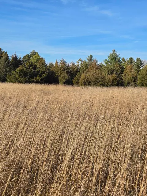lot S H - I Hoffman Beach Dr, Hillman, MN 56338