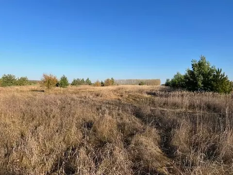 Nnnn 460th Ave, Rush Lake Twp, MN 56573
