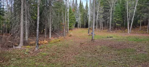 53373 County Road 341, Bigfork, MN 56628 photo 9