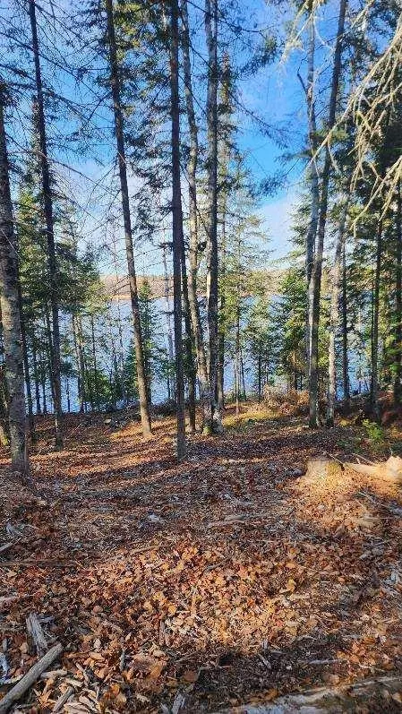 53373 County Road 341, Bigfork, MN 56628 photo 5