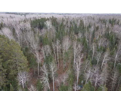 53373 County Road 341, Bigfork, MN 56628 photo 26