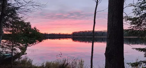 53373 County Road 341, Bigfork, MN 56628 photo 13