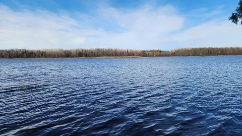 53373 County Road 341, Bigfork, MN 56628 photo 19
