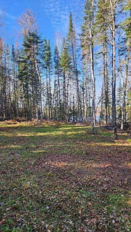 53373 County Road 341, Bigfork, MN 56628 photo 7