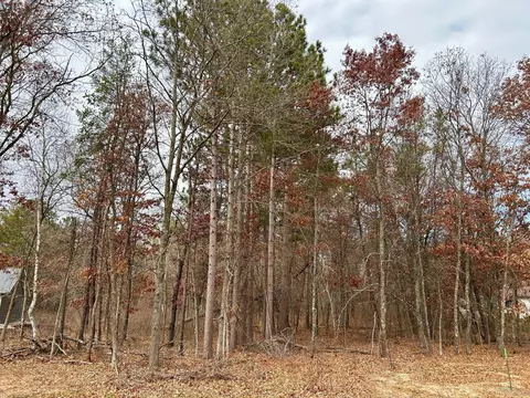 Nnnnn Forestview Drive, Baxter, MN 56425