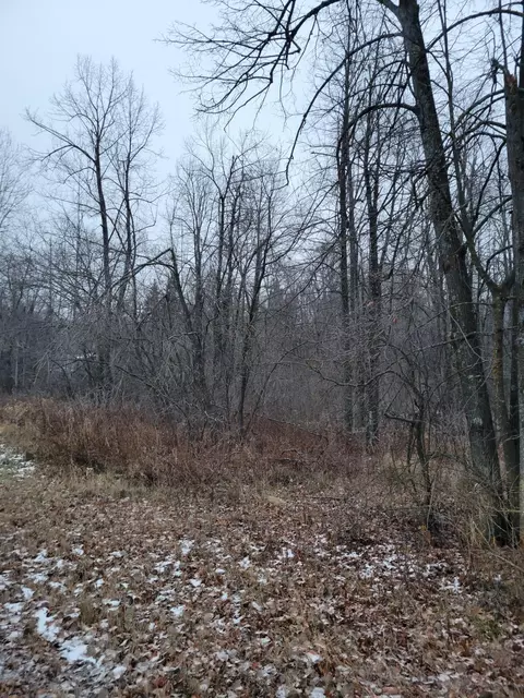 Nn Baker Ave, Ladysmith, WI 54848