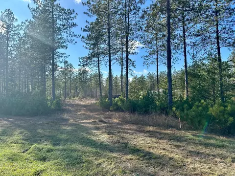 Nnn Cathedral Pines Drive, Sturgeon Lake, MN 55783