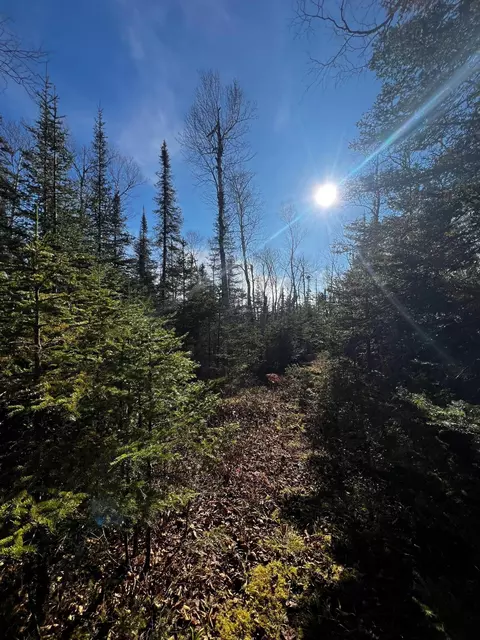 4331 Highway 61, Two Harbors, MN 55616
